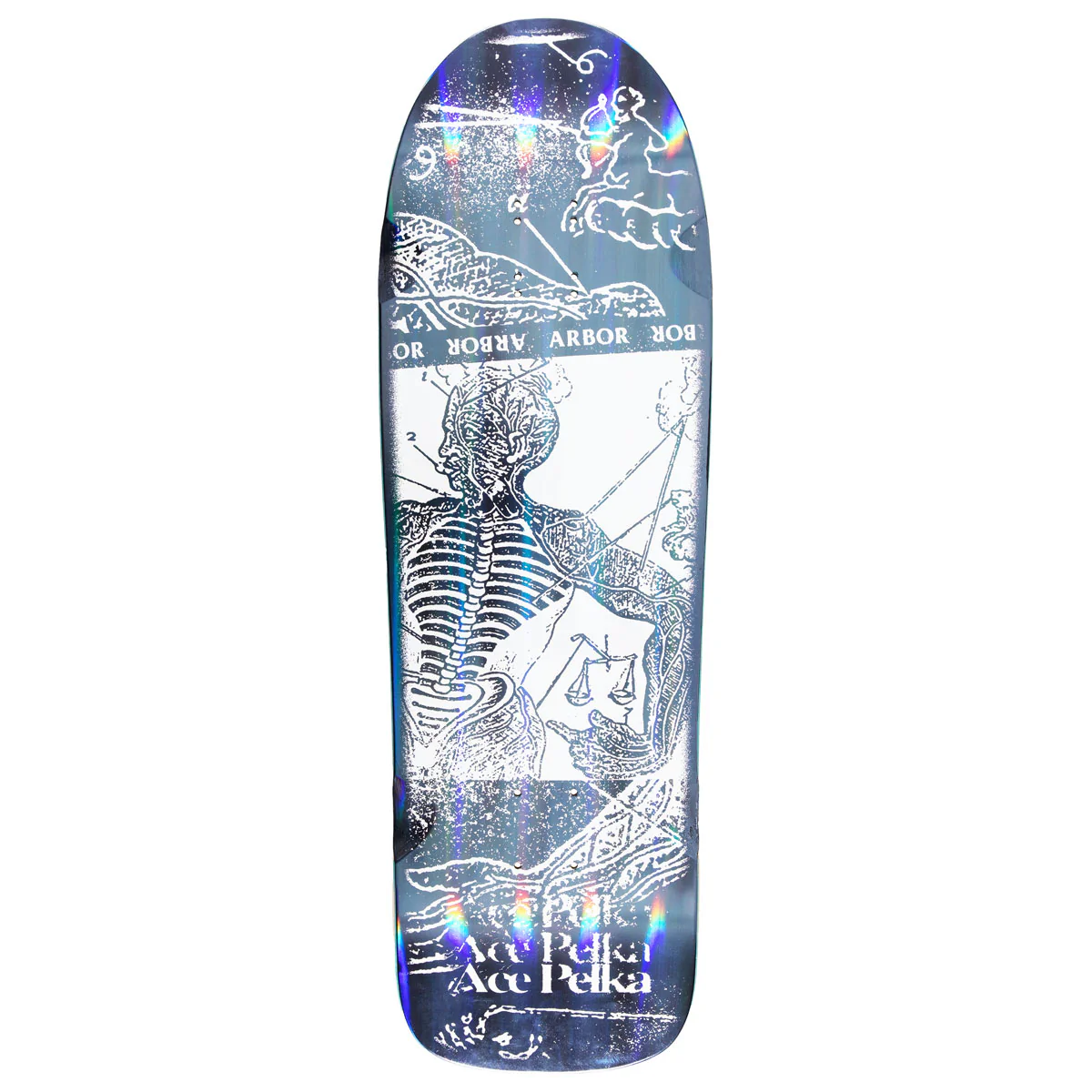Arbor Ace Pelka Anatomy Skateboard Deck - 9.75"