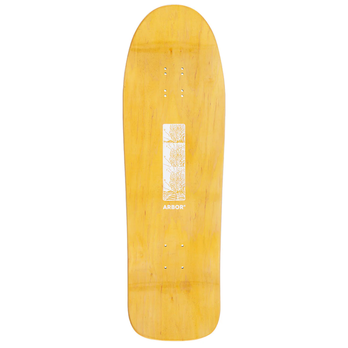Arbor Ace Pelka Anatomy Skateboard Deck - 9.75" - Image 2