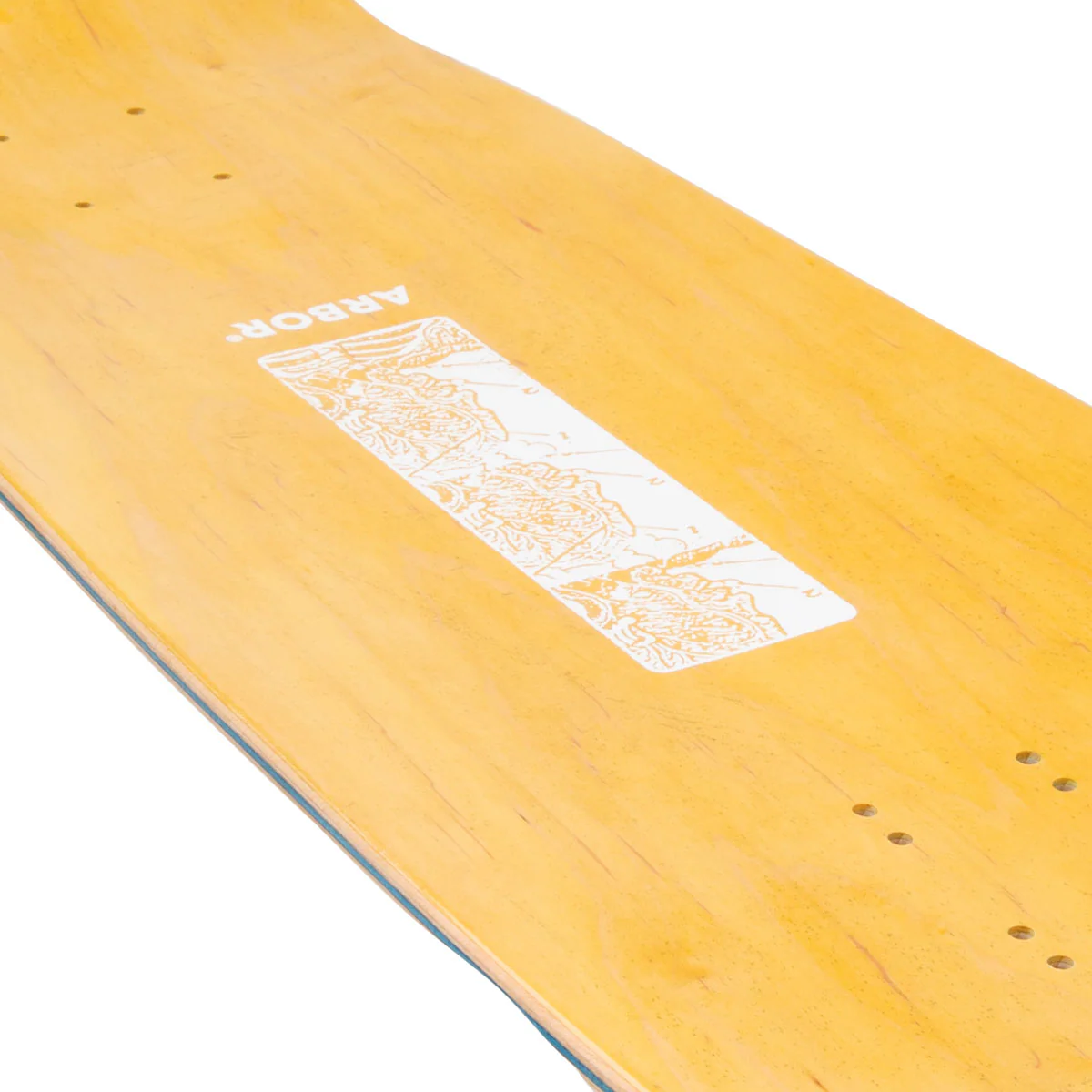 Arbor Ace Pelka Anatomy Skateboard Deck - 9.75" - Image 3