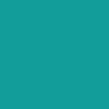CCS Fireman Mini Skateboard Deck - Teal - Image 3