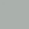 CCS Gargoyle Skateboard Deck - Silver - Image 4