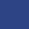 CCS Silver 96 Logo Web Belt - Royal Blue - Image 4