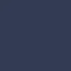 Polar Jiro Shorts - Dark Blue/White Stitching - Image 5