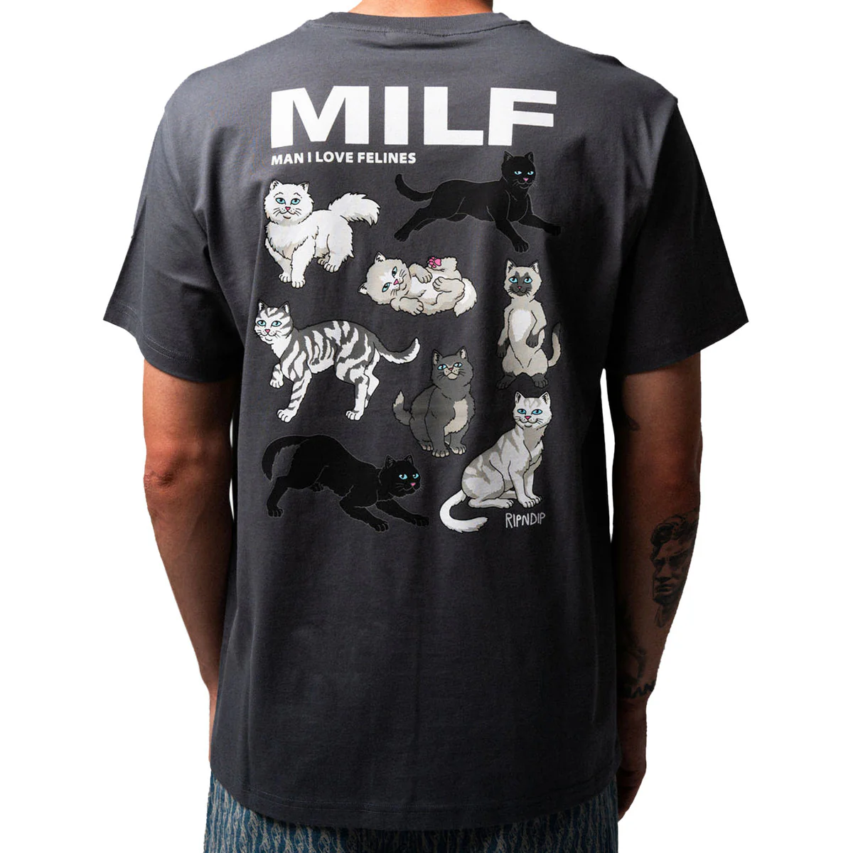 RIPNDIP Man I Love Felines T-Shirt - Charcoal II - Image 4